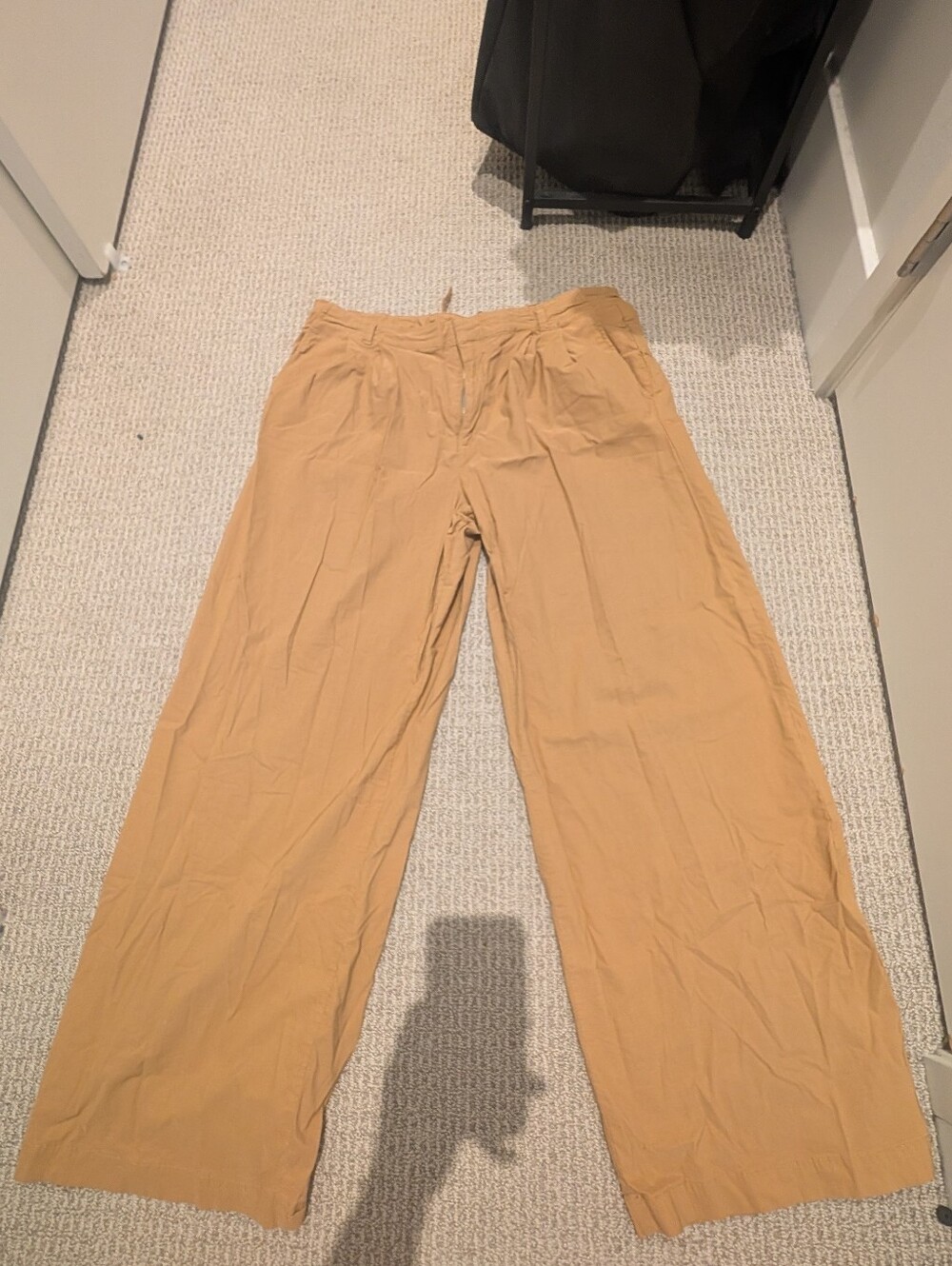 Anthropologie Buckleback Pleated Wide Leg Trousers